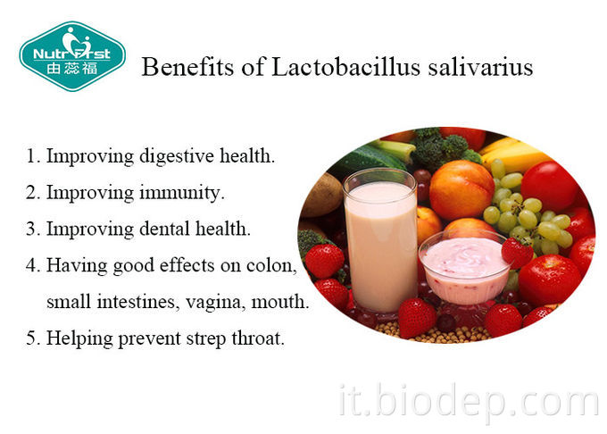 Lactobacillus salivarius lactobacillus salivarius